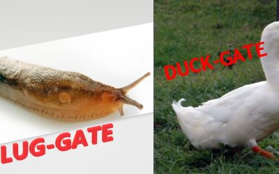 SLUG GATE v’s DUCK GATE