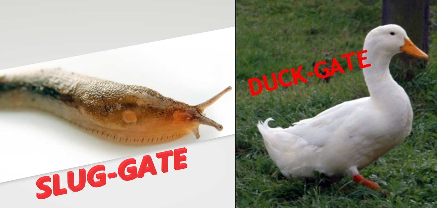 SLUG GATE v’s DUCK GATE Community Advocacy Alliance