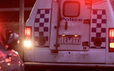 6000 CRIMES AT SCHOOLS and 439 CARJACKINGS IN 2024