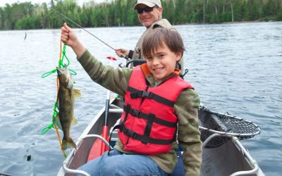 TIME IS RUNNING OUT – PETITION TO THE LEGISLATIVE COUNCIL EXPIRES 31/07/2025