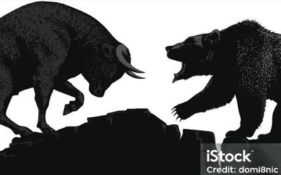 BULLS V BEARS – THE FUTURE OF POLICING IN VICTORIA