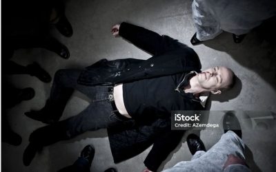 WHAT A BLOODY RIDICULOUS POLICY