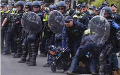 ONE SWALLOW DOES NOT A SUMMER MAKE